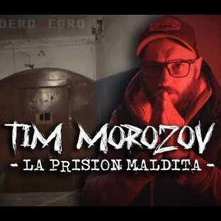 Дзен Tim Morozov статистика
