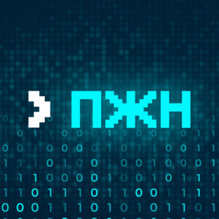 Статистика Дзен Программист живет нормально