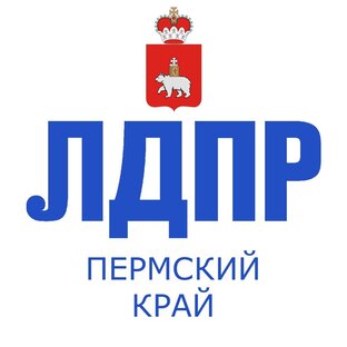 Статистика Дзен ЛДПР Пермский край