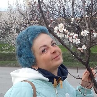 Статистика Дзен Показала раку фак)
