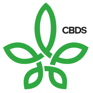 Статистика Дзен CBDS.RU