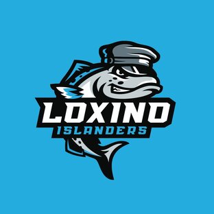 Статистика Дзен ХК Loxino Islanders