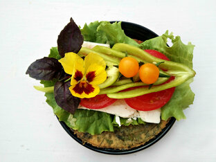 Садовая кухня