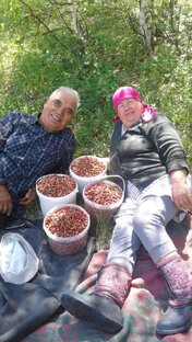 Дедушкины сказки