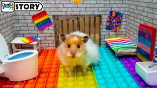 ХОМЯК ПРОХОДИТ ЛАБИРИНТ