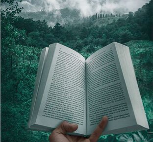 Рецензии на книги