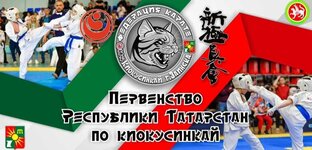 Первенство РТ по киокусинкай 2023, Заинск. 