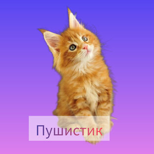 Пушистик