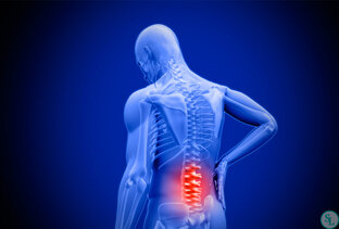 СПИНА и ПОЯСНИЦА