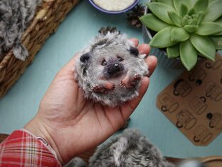 Ёжики. Бесплатные МК