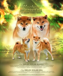 Наши В- шки🐶