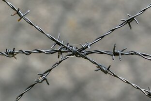 Книги о войне и концлагерях 