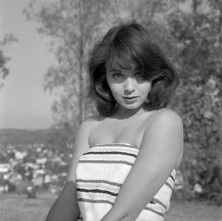  "Мисс Вселенная" Победительницы конкурса 