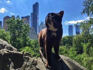 Исследования и статьи