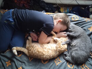 Мои кошки и бытовуха. 