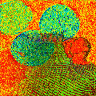 Сборники стихотворений