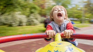 Формирование вестибулярной системы