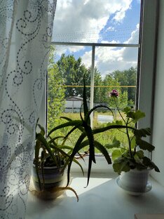 Деревня (Татарстан)