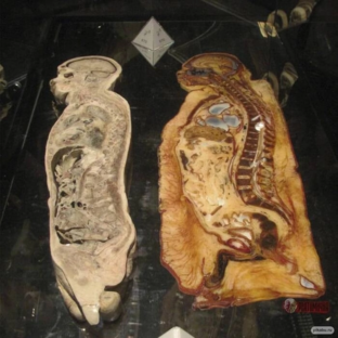 Похудение-статьи