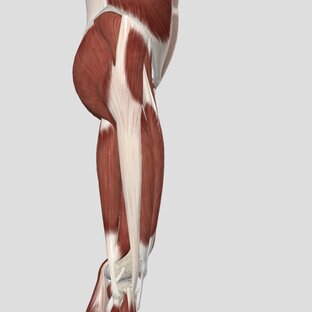 6. Боль в области ТБС (боковая поверхность таза), бедре и колене