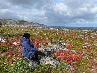 Мурманск Териберка 