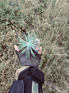 Дневники Седого