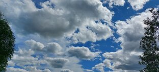 Мои мысли Мое настроение Мои советы