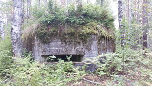 Военные, исторические музеи и "заброшки"