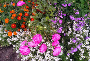 Мир моих увлечений