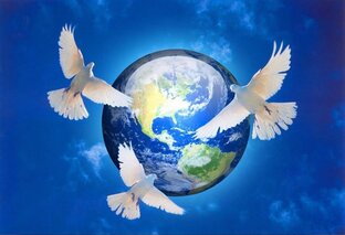 Мир вокруг нас !