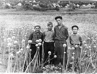 ФОТОАЛЬБОМ: люди и достопримечательности района