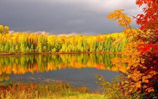 Людмила Алаторцева. Творчество доступно каждому.