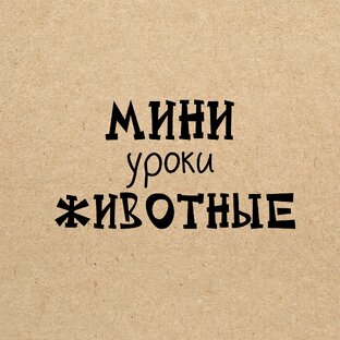 Животные 