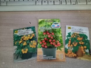 ПОМИДОРЫ🍅🍅🍅  ПЕРЕЦ🌶🌶🌶