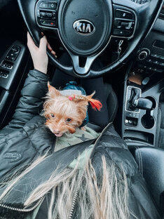 Страшно в машине, но на дачу хочется