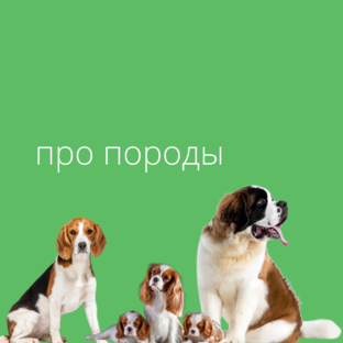 про породы