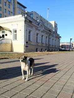Тайны белокаменной крепости 