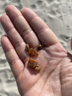 Переезд в Янтарный край 