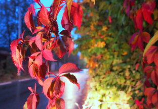 Записки неОтличника