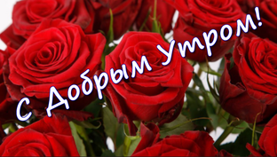С Добрым Утром! Красивые пожелания доброго утра