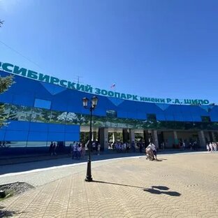Новосибирский зоопарк.