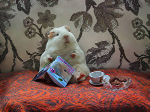 удивляемся вместе