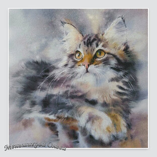 Год Кота: процесс