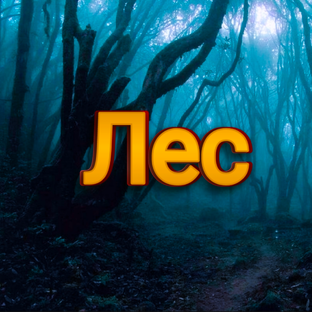 В лесу