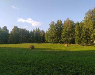 Наша природа