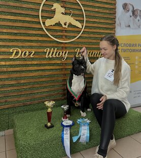 Выставки🥇