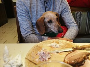 Такса Лампа.