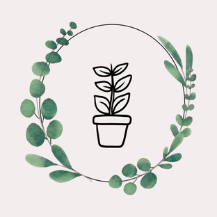 Растения из Пятёрочки