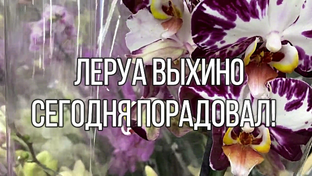 Обзоры Леруа