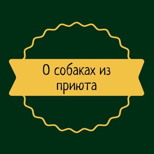 О собаках из приюта